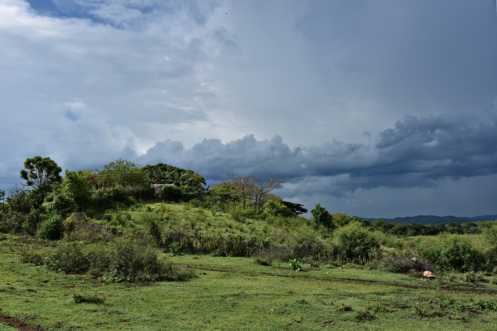 Valle de los Ingénios 03