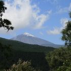 Valle de Orotava mit Teide