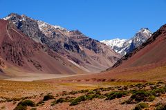 Valle de rio Horcones