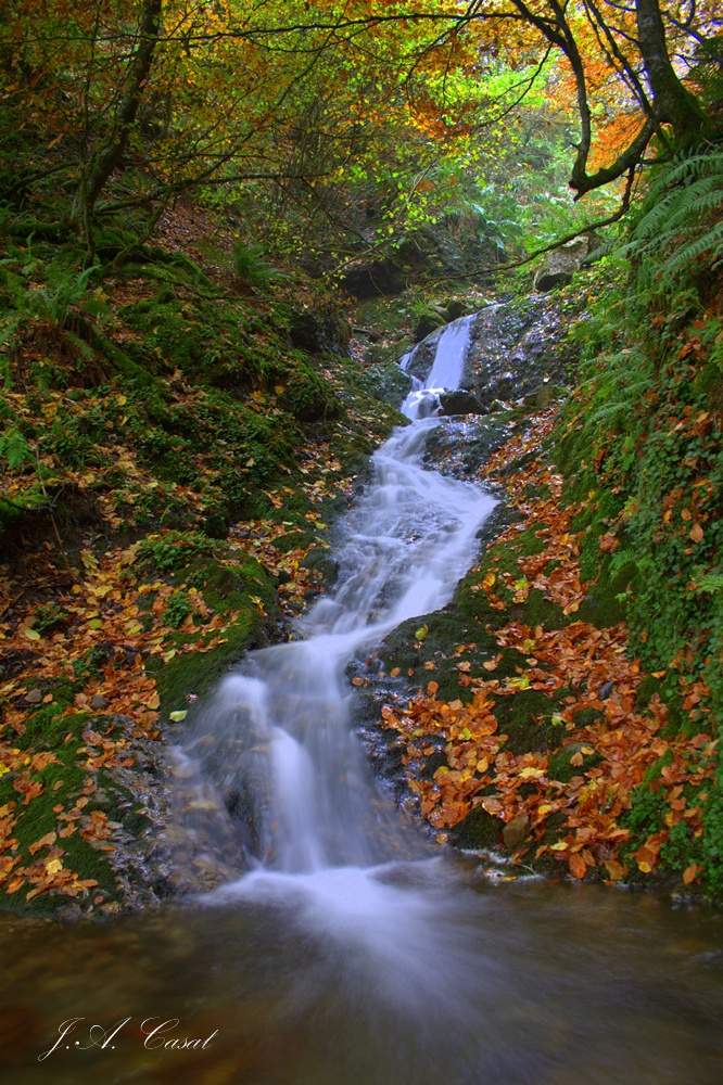 Valle de Sajambre