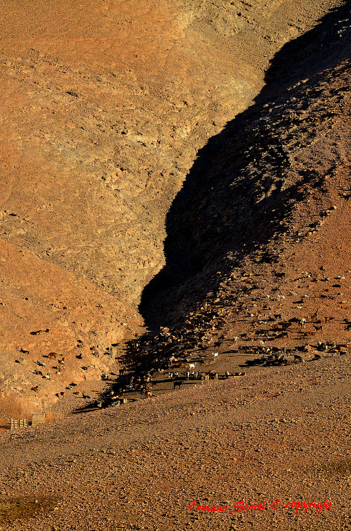 Valle de Santa Ines......Fuerteventura