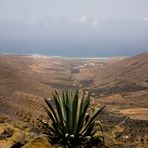 Valle de Temisa