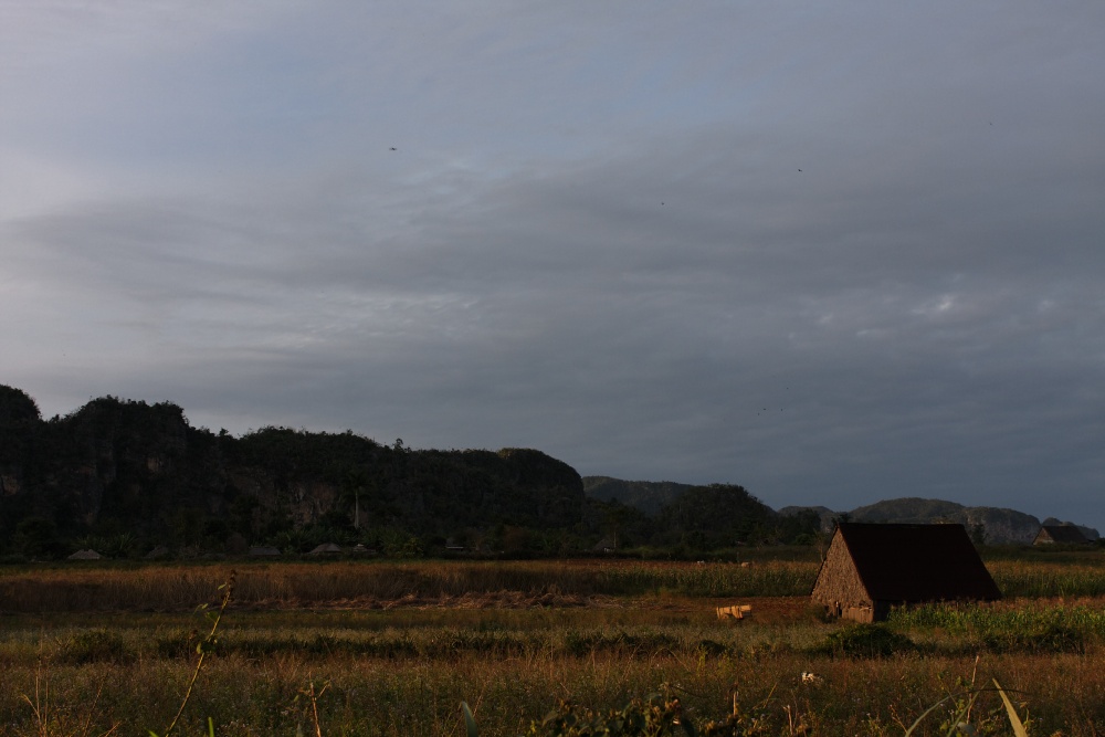 Valle de Viñales 1