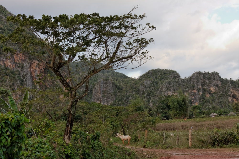 Valle de Viñales 2