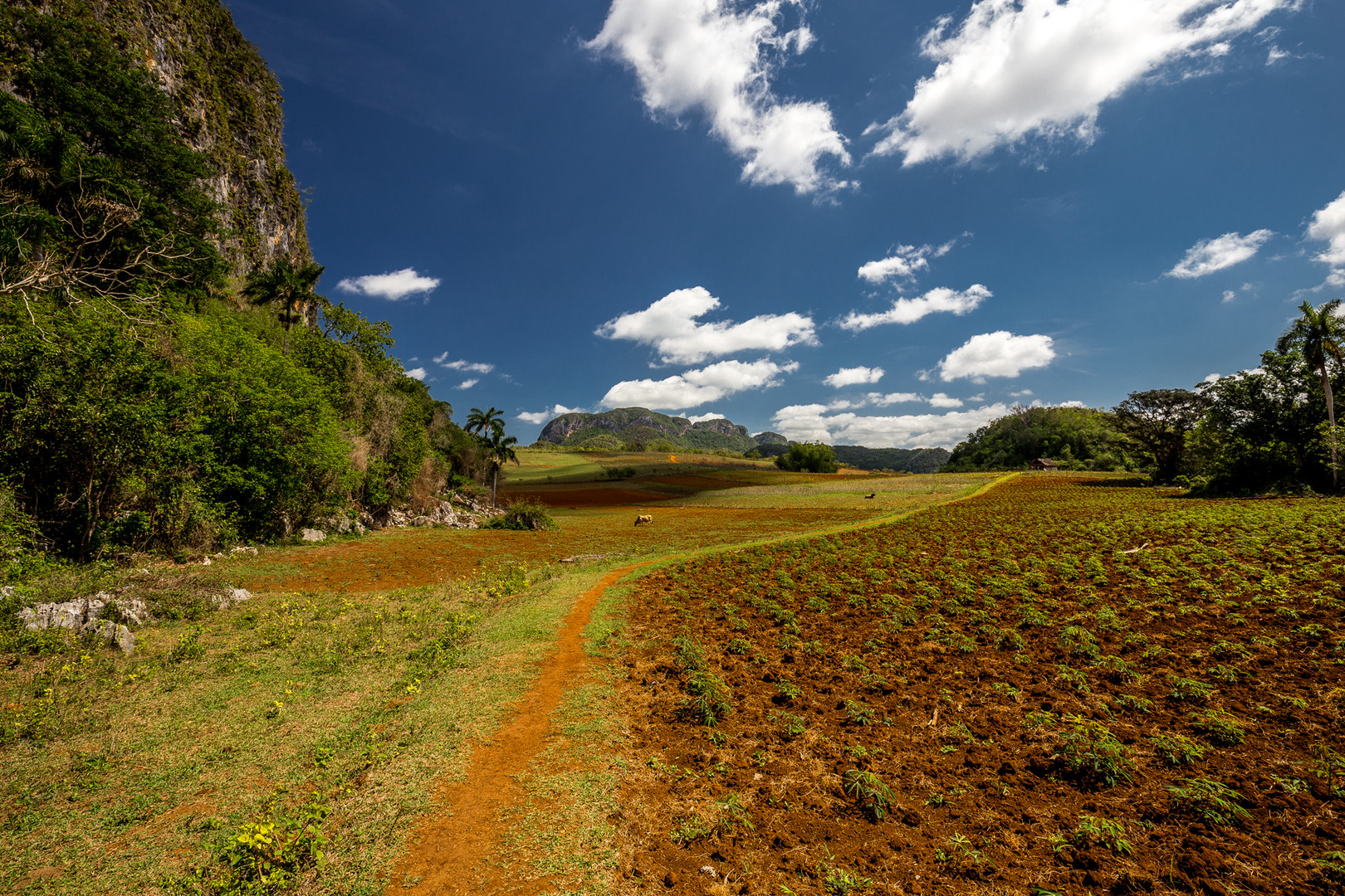 Valle de Viñales