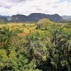 Valle de Viñales