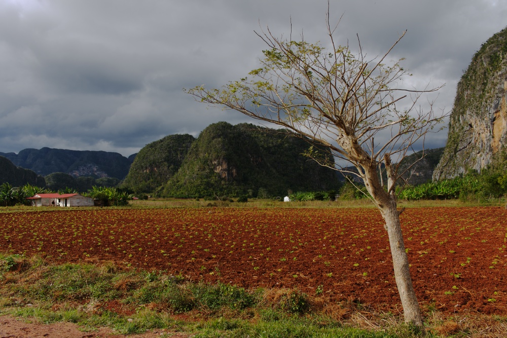 Valle de Viñales 4