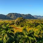 Valle de Viñales