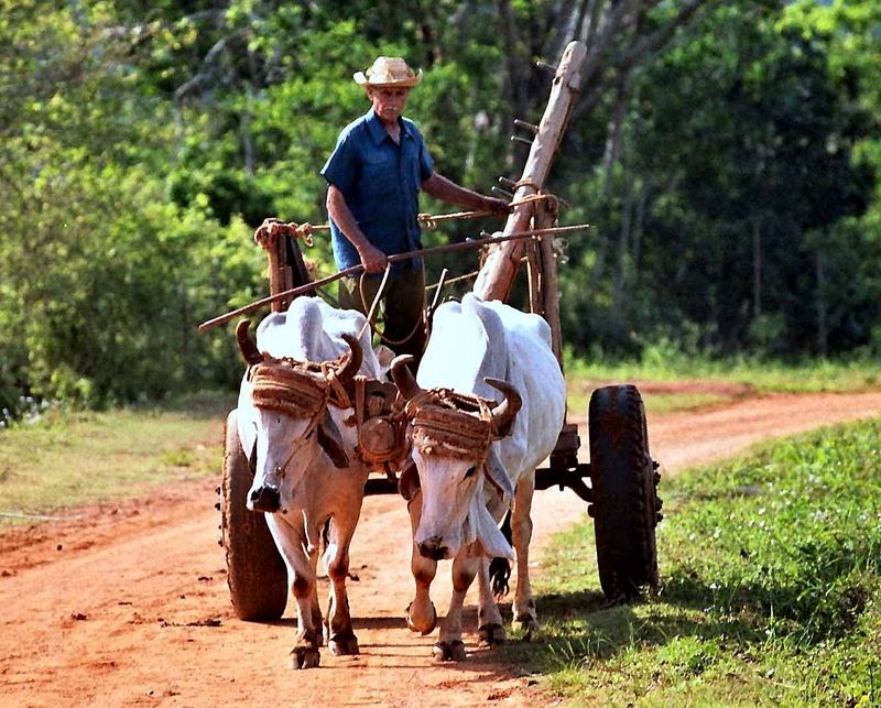 Valle de Viñales...