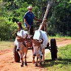 Valle de Viñales...