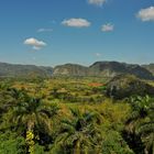 Valle de Vinales