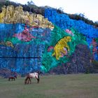 Valle de Vinales