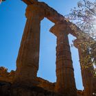 valle dei templi agrigento