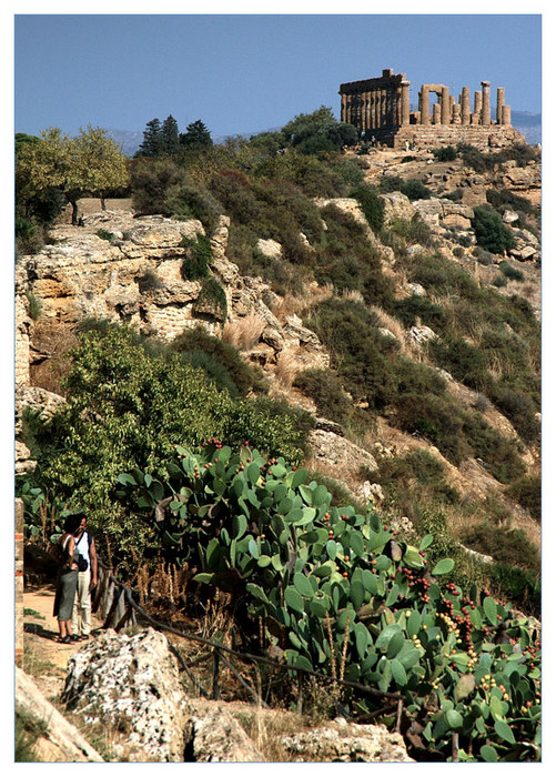 Valle dei Templi_Tempio di Juno Lacinia