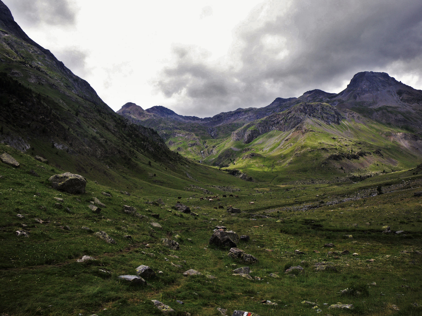 Valle del Ara