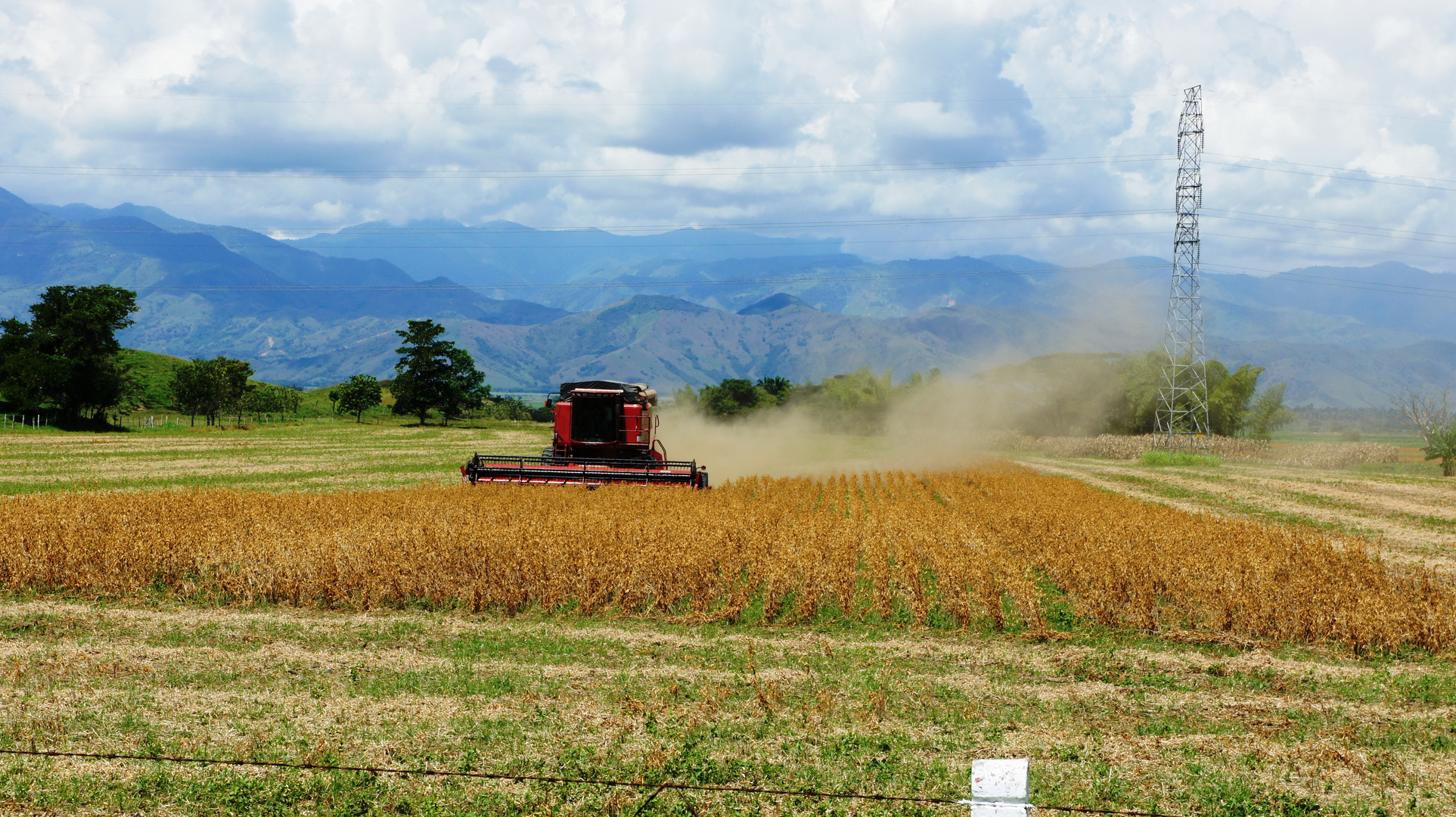 VALLE DEL CAUCA, COLOMBIA