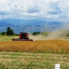 VALLE DEL CAUCA, COLOMBIA