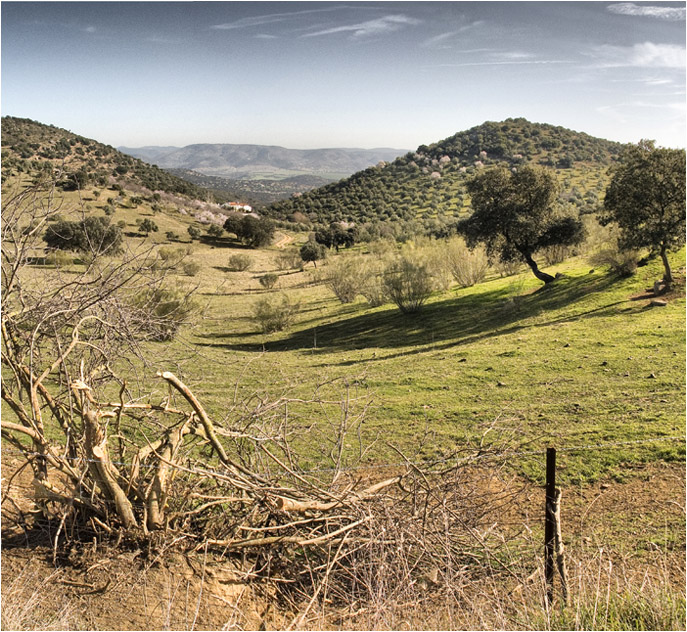 Valle del Guadiato 2