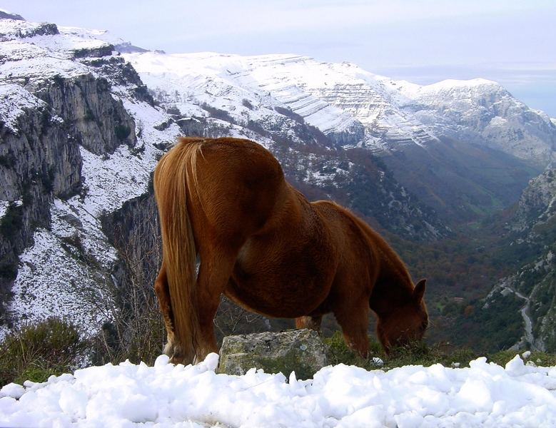 Valle del rio Asón (Cantabria)