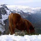 Valle del rio Asón (Cantabria)