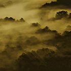 Valle del Turano all'alba