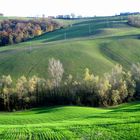 Valle delle ginestre