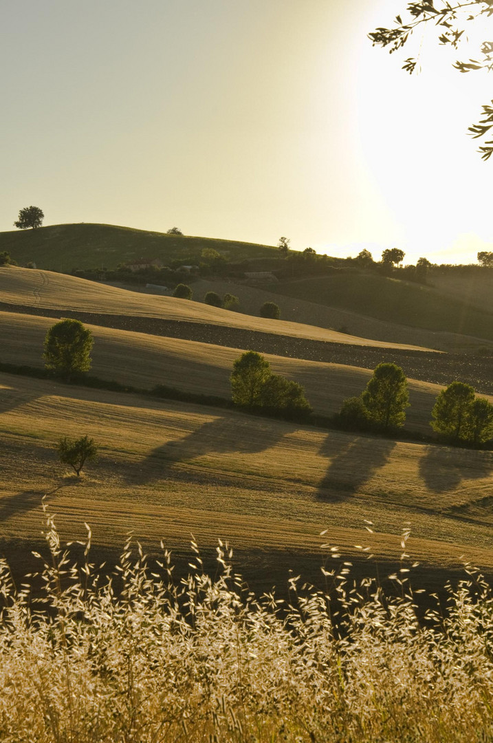 Valle di Orciano