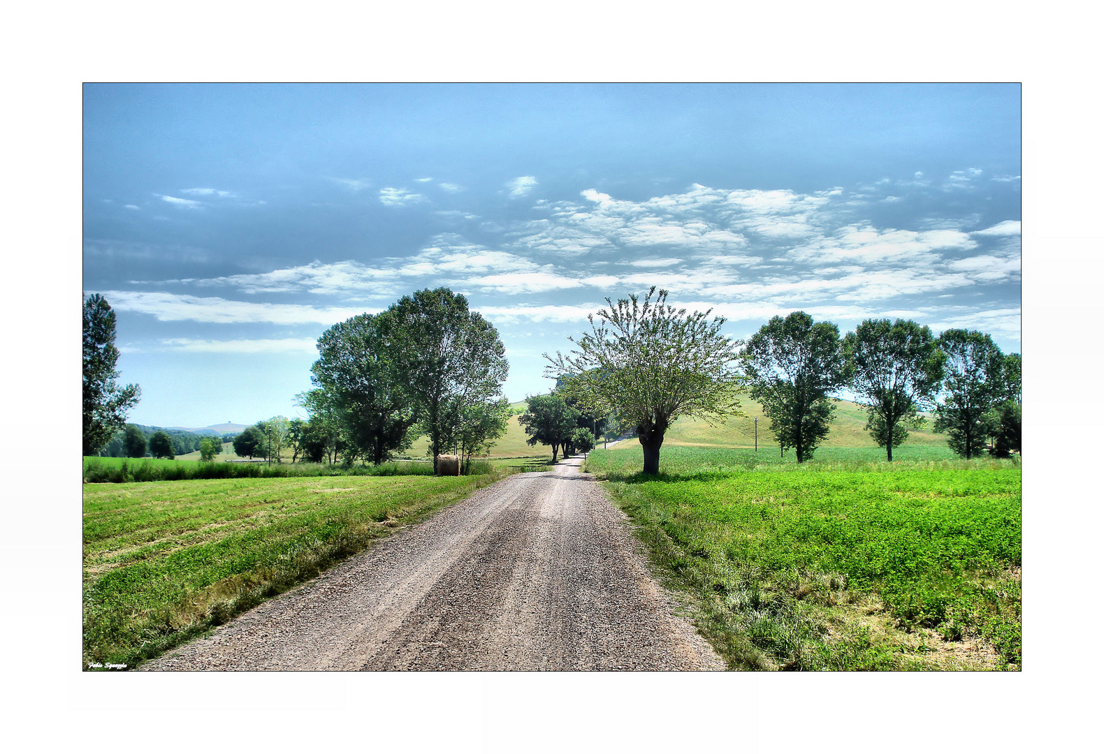 Valle D'Orcia' 2010