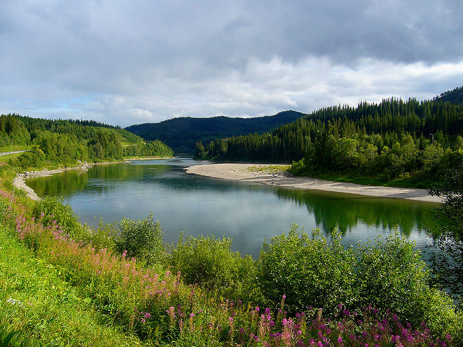 Valle fluviale nel Nordland