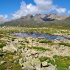 Valle Formazza.