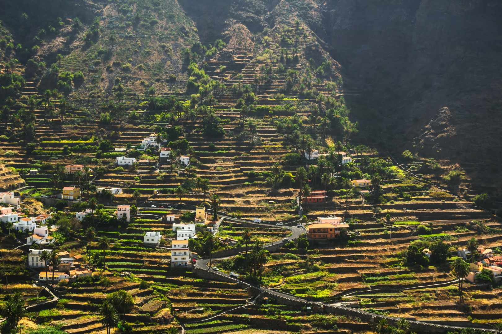 Valle Gran Rey, La Gomera Foto & Bild europe, canary islands die kanaren, spain Bilder auf