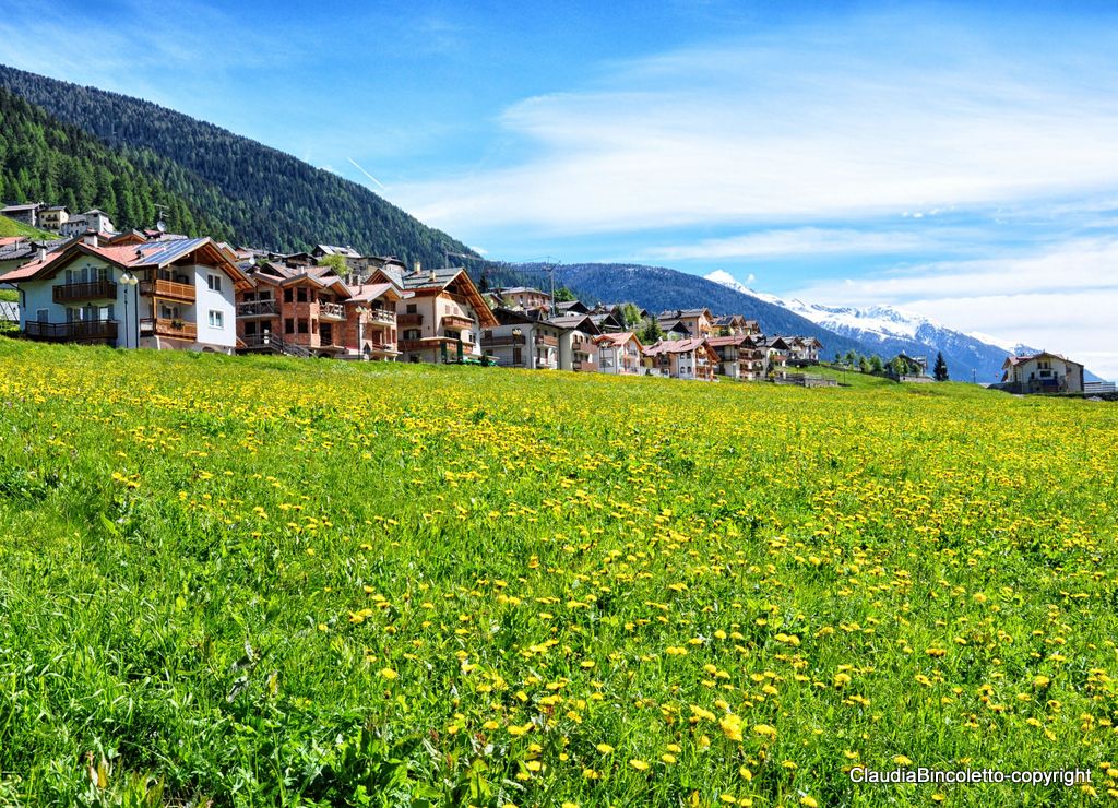 valle in val di pejo