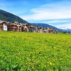 valle in val di pejo