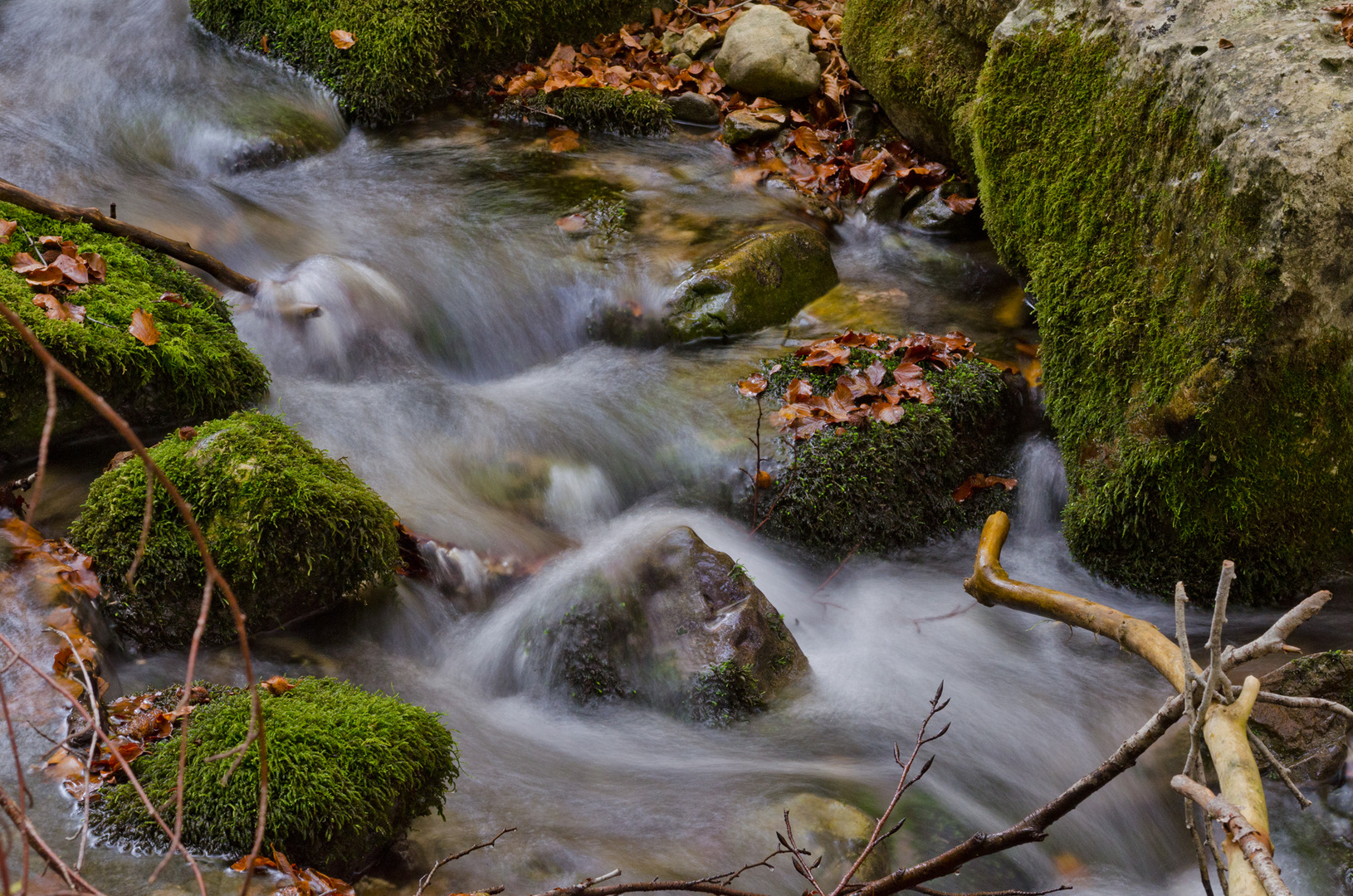 Valle Jannanghera - Torrente