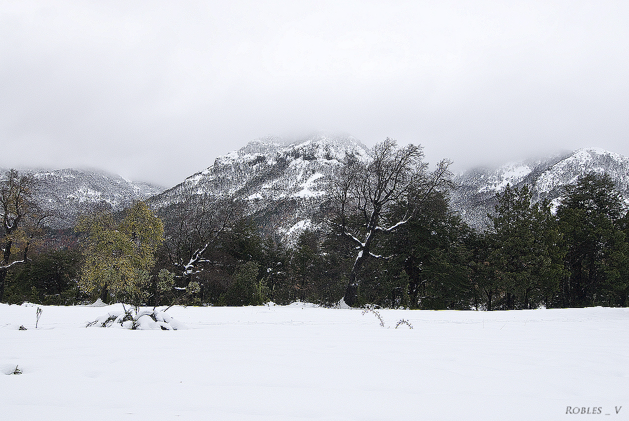 Valle las trancas