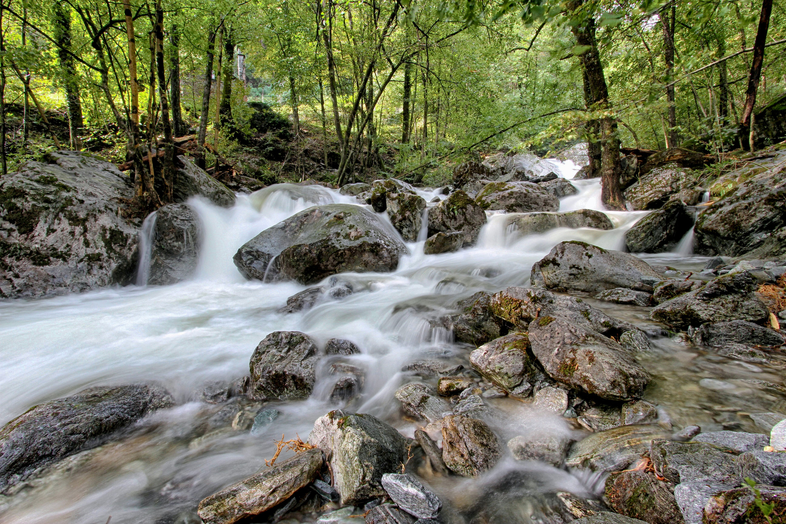 valle maggia ruscello aurigeno