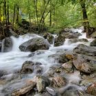 valle maggia ruscello aurigeno