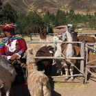 Valle Sagrado 1