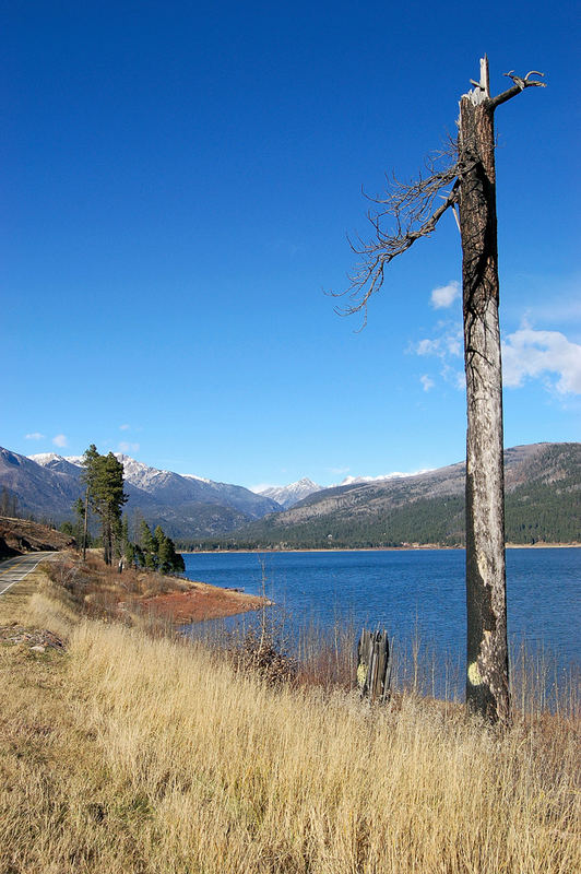 Vallecito Lake #3