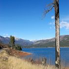 Vallecito Lake #3