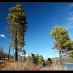 Vallecito Lake ~ 4 ~