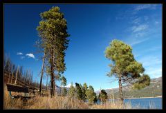 Vallecito Lake ~ 4 ~