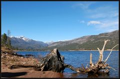 Vallecito Lake ~ 5 ~