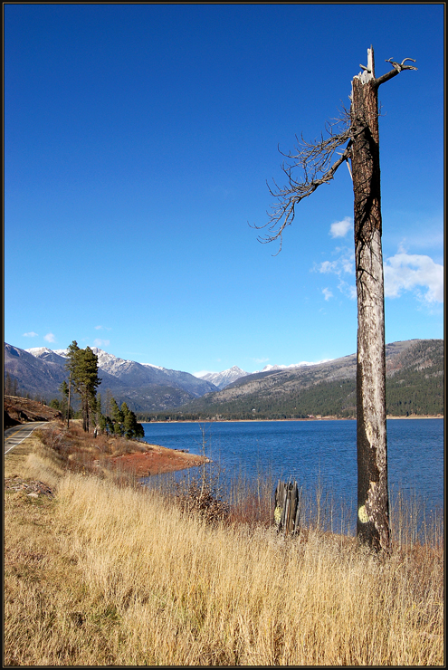 Vallecito Lake