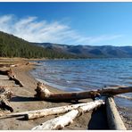 Vallecito Lake ~ 8 ~