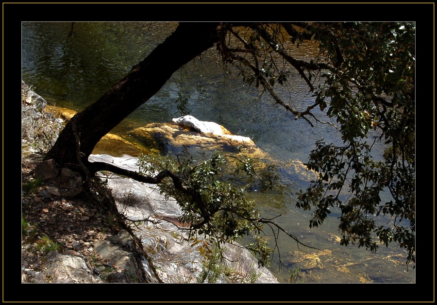 Vallée Borgne in den Cévennes