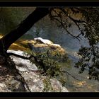 Vallée Borgne in den Cévennes