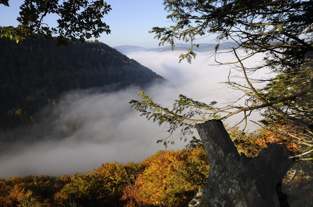 Vallée dans la brume