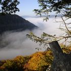 Vallée dans la brume