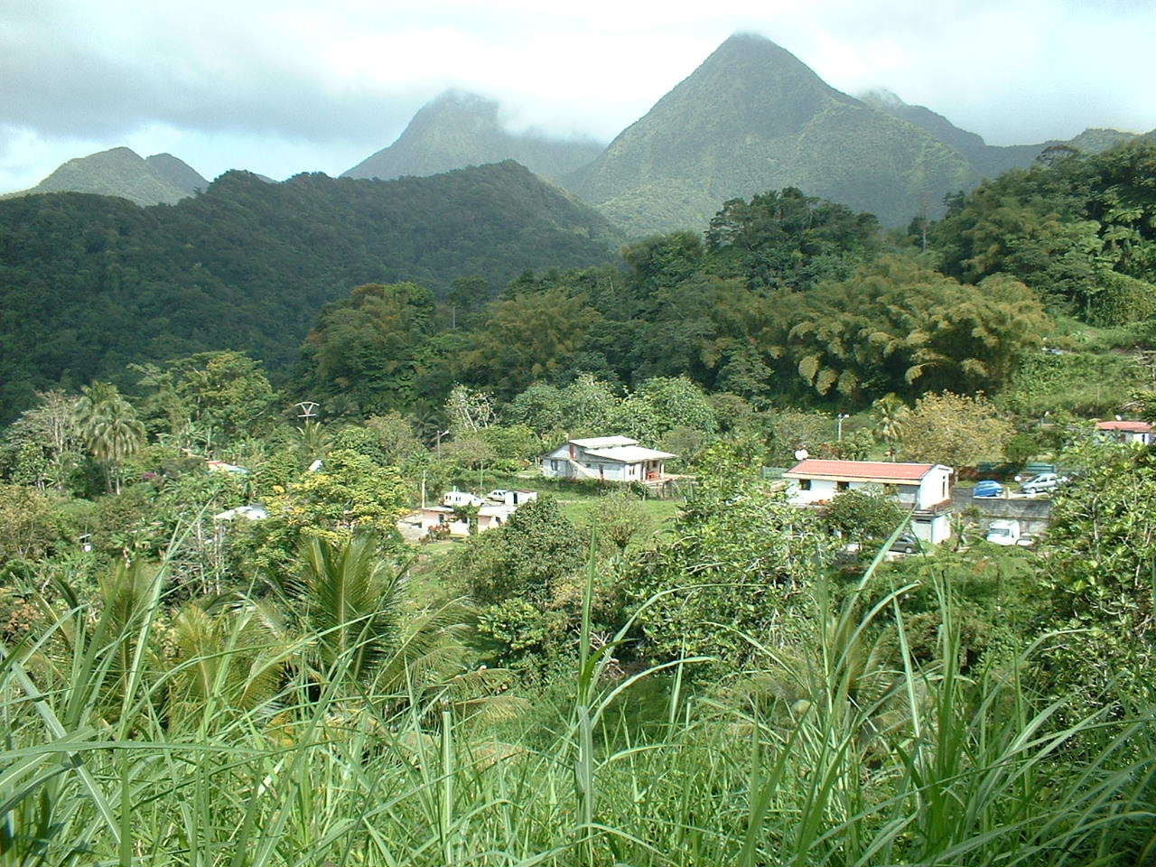 Vallée de Balata - Martinique - Stage Plongée 2007 Saint Pierre